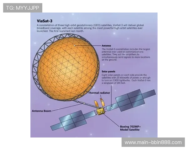 波音体育会员注册常见问题及解决方案全面解析